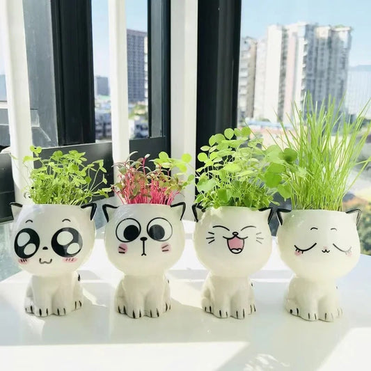 Cat Mini Flowerpot