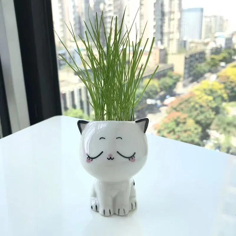 Cat Mini Flowerpot