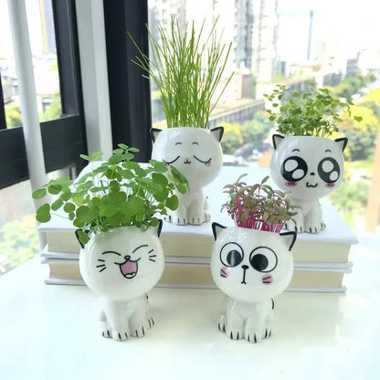 Cat Mini Flowerpot