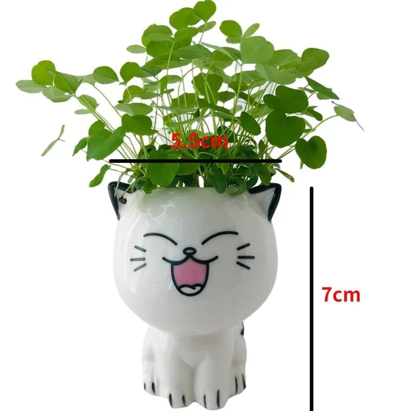 Cat Mini Flowerpot