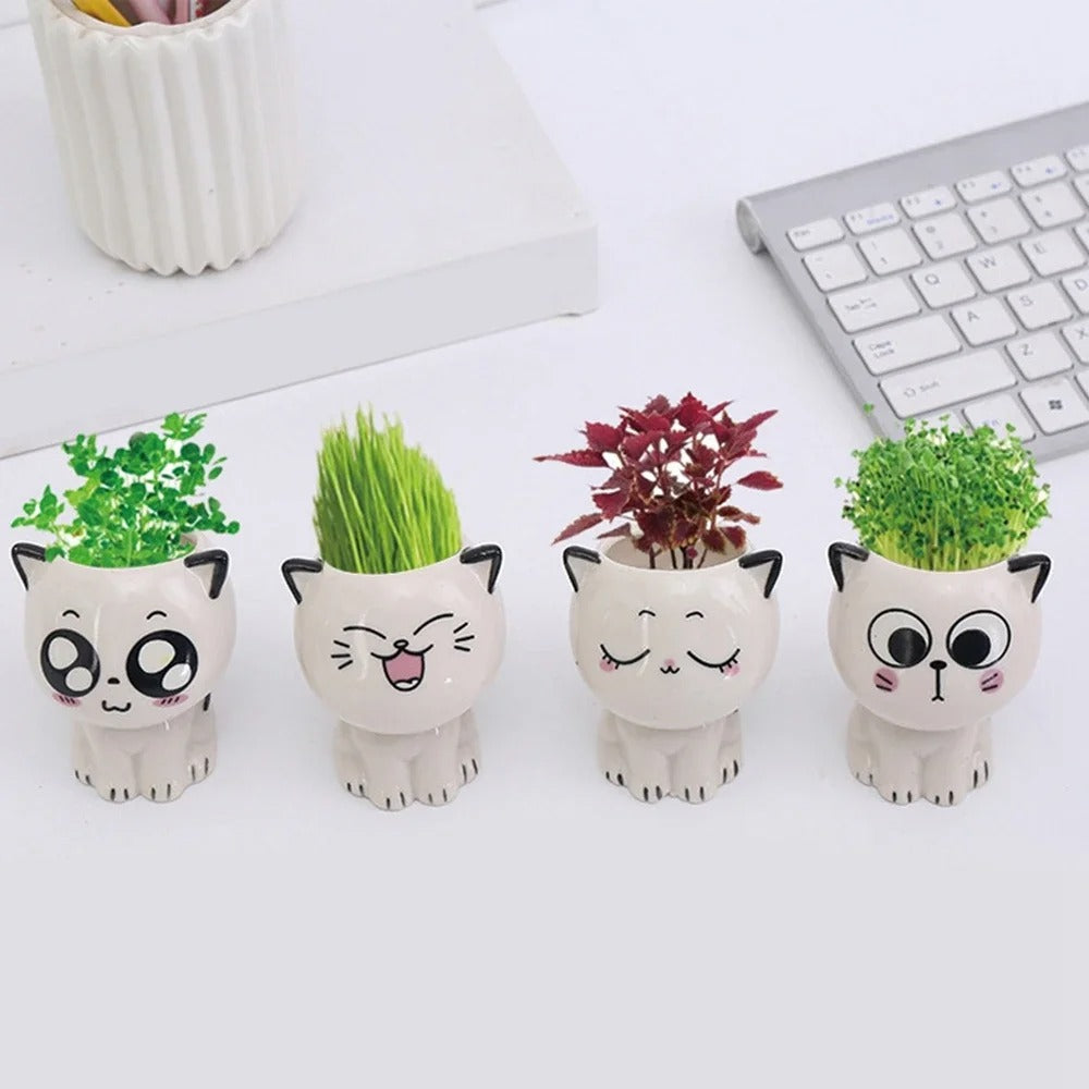 Cat Mini Flowerpot