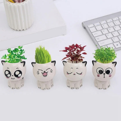 Cat Mini Flowerpot
