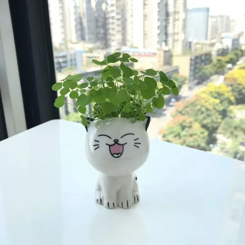 Cat Mini Flowerpot