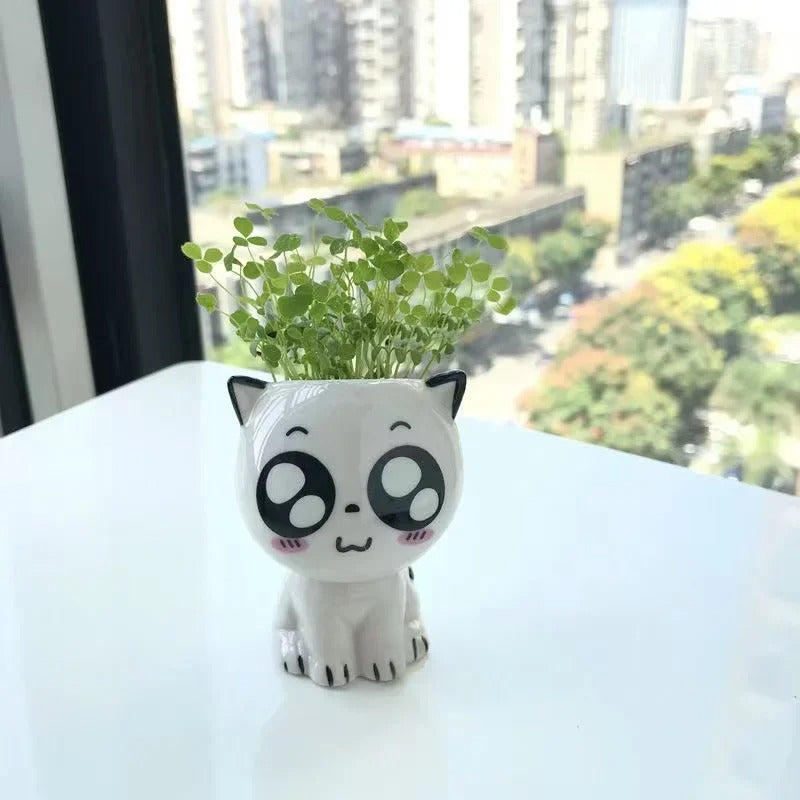 Cat Mini Flowerpot